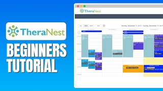 TheraNest Tutorial For Beginners  How To Use TheraNest [upl. by Milan620]