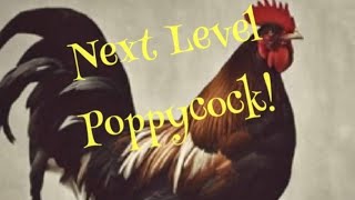 Next Level Poppycock [upl. by Eniamzaj]