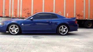 2004 Mustang GT IRS swapped w 99 spoiler walkaround Part 1 [upl. by Rahman]