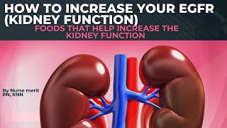 How to increase eGFR amp kidney function  How to reduce creatinine [upl. by Crooks740]