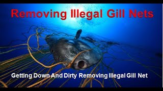 Getting Down And Dirty Removing Illegal Gill Net – South Africa [upl. by Addison]