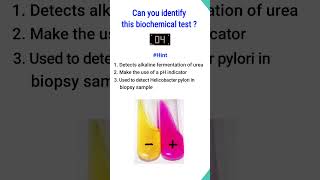 Quiz5  Biochemical test for identification of bacteria shorts microbiology [upl. by Aliel]