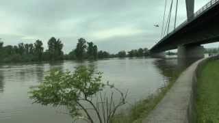 Hochwasser 2013 Die Donau zwischen Deggendorf und Vilshofen [upl. by Grindlay]