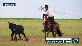 Lote 05  NZ ZILA II  19º Leilão Virtual CABANHA NZ – 2024 [upl. by Fortin]