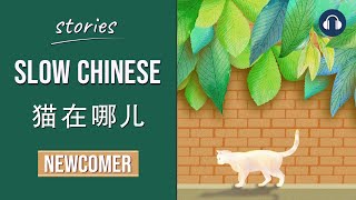 猫在哪儿  Slow Chinese Stories Newcomer  Chinese Listening Practice HSK 12 [upl. by Jolyn]