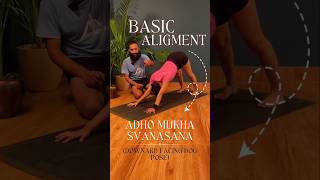 Adhomukha Svanasana Yoga  Downward Facing dog pose  Iyengar Yoga [upl. by Saito409]