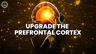 Upgrade The Prefrontal Cortex  Unleash Your Cognitive Superpowers amp Brilliance  Alpha Waves Music [upl. by Tyrrell]