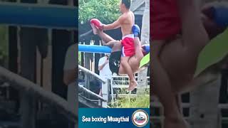 Sea boxing Muaythai  try not to laugh short clips funny [upl. by Kingsley]