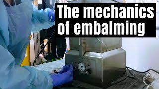 The mechanics of embalming [upl. by Nareht515]