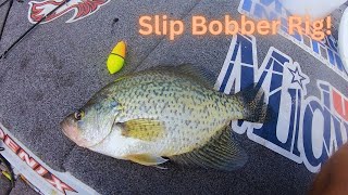 How To SLIB BOBBER Rig For CRAPPIE SIMPLE And EASY [upl. by Nivalc]