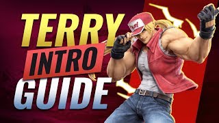 How to Get Good With Terry in Smash Ultimate [upl. by Yleme]