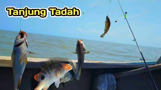 SPOT PINGGIRAN  Mancing Di Laut Dapat Macammacam Jenis Ikan [upl. by Nollie]