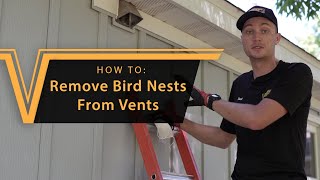 How To Get Birds Out Of Vents [upl. by Nnaoj]