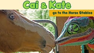 Episode 14 Cai Goes to the Horse Stables [upl. by Annaeed]