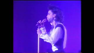 Prince quotWhen Doves Cryquot LIVE  Tokyo Japan 1990 [upl. by Niddala]