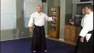 Advanced Aikido Principles of Motion  Aikido Randori Arm Deflections Part 2 [upl. by Dnaleel]