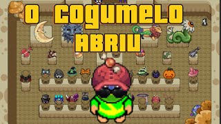 A LOJA DO COGUMELO 🍄 ABRIU GraalOnline Classic [upl. by Eibmab75]