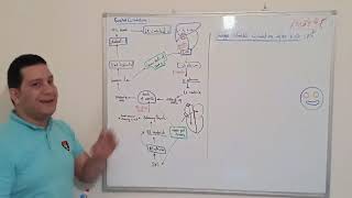 Cardiopulmonary Embryology 5 Fetal Circulation  By Dr Khaled Awad [upl. by Avitzur300]