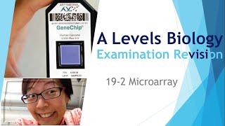 Microarrays  A Levels Biology  Key Success in Scoring A  192 [upl. by Becka]