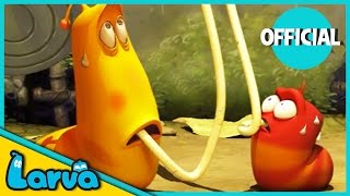 LARVA Funny Animation  LARVA AND THE SPAGHETTI  Cartoons  Comics  LARVA Official [upl. by Ytissahc]