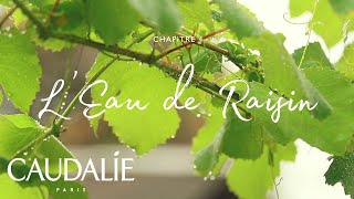 Caudalie  Tales from the vineyard  Grape water [upl. by Ahterod336]