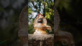 lord siva  ome namah shivaya  ome rudraya  monday special  shorts [upl. by Zhang]