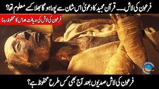 Body of Firon Pharaoh  Quran and Modern Science In Urdu Hindi [upl. by Cammi]