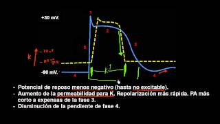 CURSO DE ELECTROCARDIOGRAFIA 62  HIPERKALEMIA Y POTENCIAL DE ACCIÓN [upl. by Etyak]