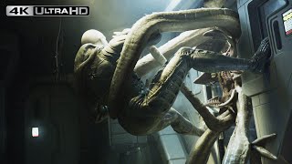 Alien Romulus Best Scene  Unseen Clips  Alien Romulus Hybrid Scene alienromulus xenomorph alien [upl. by Helbonna]