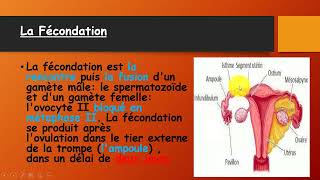 BAC Tunisie  La procreation  درس مهم جدا للتمكن من علوم الحياة و الأرض [upl. by Notse943]