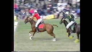 Polocrosse World Cup 2003  3rd amp 4th Play off  South Africa vs Zimbabwe  Highlights [upl. by Dincolo]