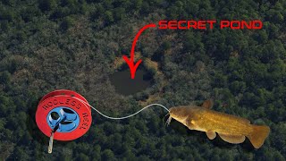 Fishing a Secret Hidden Pond  Rodless Reel  UFO REEL [upl. by Lorri487]