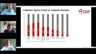 How can carbon pricing work in a business [upl. by Wallack]