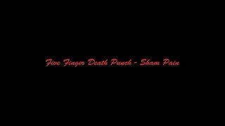 Five Finger Death Punch  Sham PainLyric Video [upl. by Iblehs]