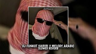 DJ FUNKOT HABIBI X MELODY ARABIC SLOWED REVERB [upl. by Apfel]