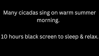 Many cicadas sing on warm summer morning cicada sounds sleep sounds black screen to sleep amp relax [upl. by Gnilrets]