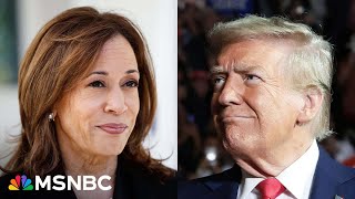 How the Trump and Harris teams are feeling on Election Day [upl. by Angil]