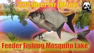 Russian Fishing 4 RF4 Feeder Fishing Mosquito Lake  Active spot Bream [upl. by Ennovi]