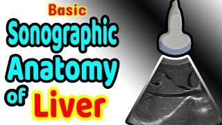 Basic Sonographic Anatomy of the Liver [upl. by Tenom]