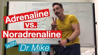 Adrenaline versus Noradrenaline  epinephrine versus Norepinephrine [upl. by Belva]