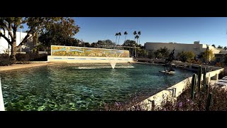 Equipment Testing  Sandmarc Anamorphic Lens with iPhone 16 Pro Max [upl. by Caassi]