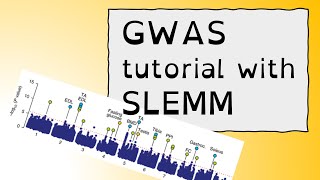 GWAS tutorial with SLEMM A Beginners Guide [upl. by Ytsirc866]