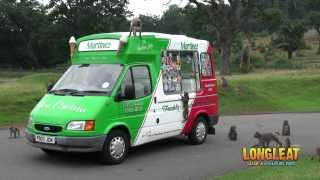 Ice Cream Van Serves up Summer Treat for Longleat Monkeys [upl. by Rodrich599]