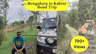 Kabini  The Land of Tigers  Complete Guide [upl. by Merritt14]