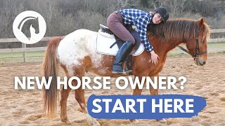 TIPS FOR NEW HORSE OWNERS Essential Beginners Guide [upl. by Fiorenza931]