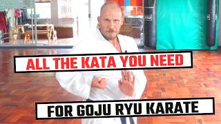 All the Goju Ryu Kata Slow amp Performance followalong [upl. by Eineeuq]