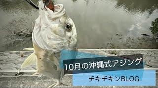 10月の沖縄式アジング［沖縄 ルアー釣り］沖縄 ルアー釣り 釣り fishing メッキ ガーラ アジング 河川 南部 くろポップ スコーピオンXV [upl. by Apicella965]