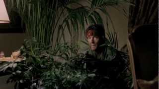 Charlie Sheen DIRECTV TV Commercial 2012 [upl. by Nodyarg]