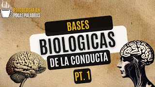 Sistema Nervioso Bases Biológicas de la conducta Parte 1 [upl. by Leanahtan]