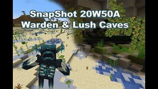 Minecraft Snapshot 20W50A No SnapShot This Week [upl. by Aram]